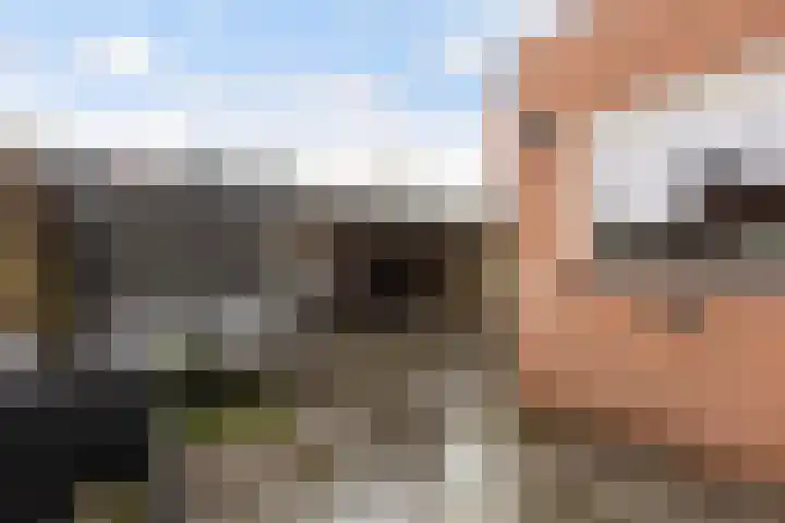 Dijkzicht 21 Wijhe thumbnail 18