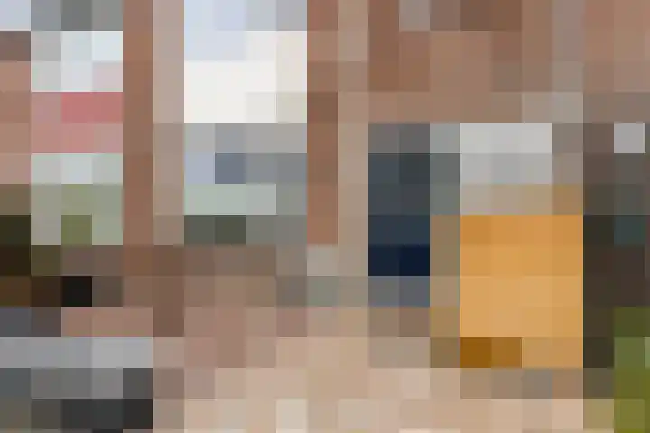 Dijkzicht 21 Wijhe foto 3