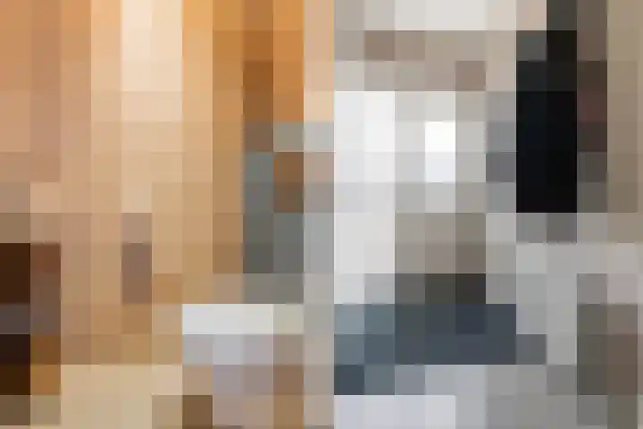Dijkzicht 21 Wijhe thumbnail 6