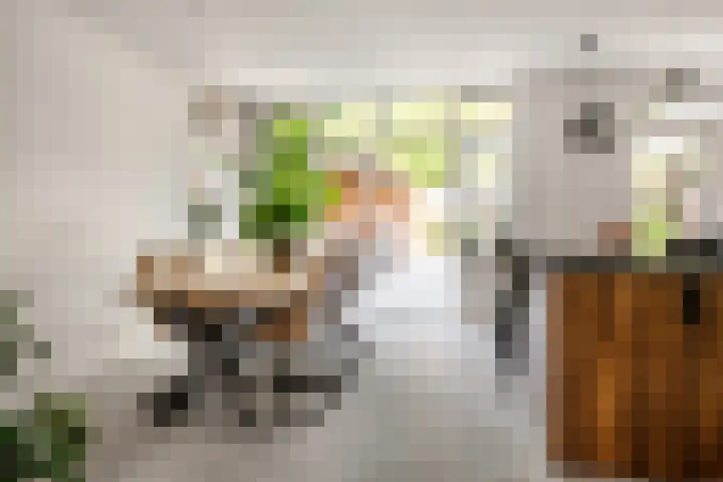 Dijkzichtlaan 3 Santpoort-Noord thumbnail 10