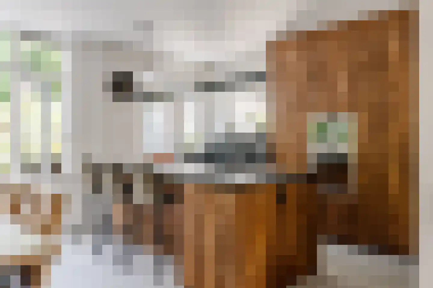 Dijkzichtlaan 3 Santpoort-Noord thumbnail 11