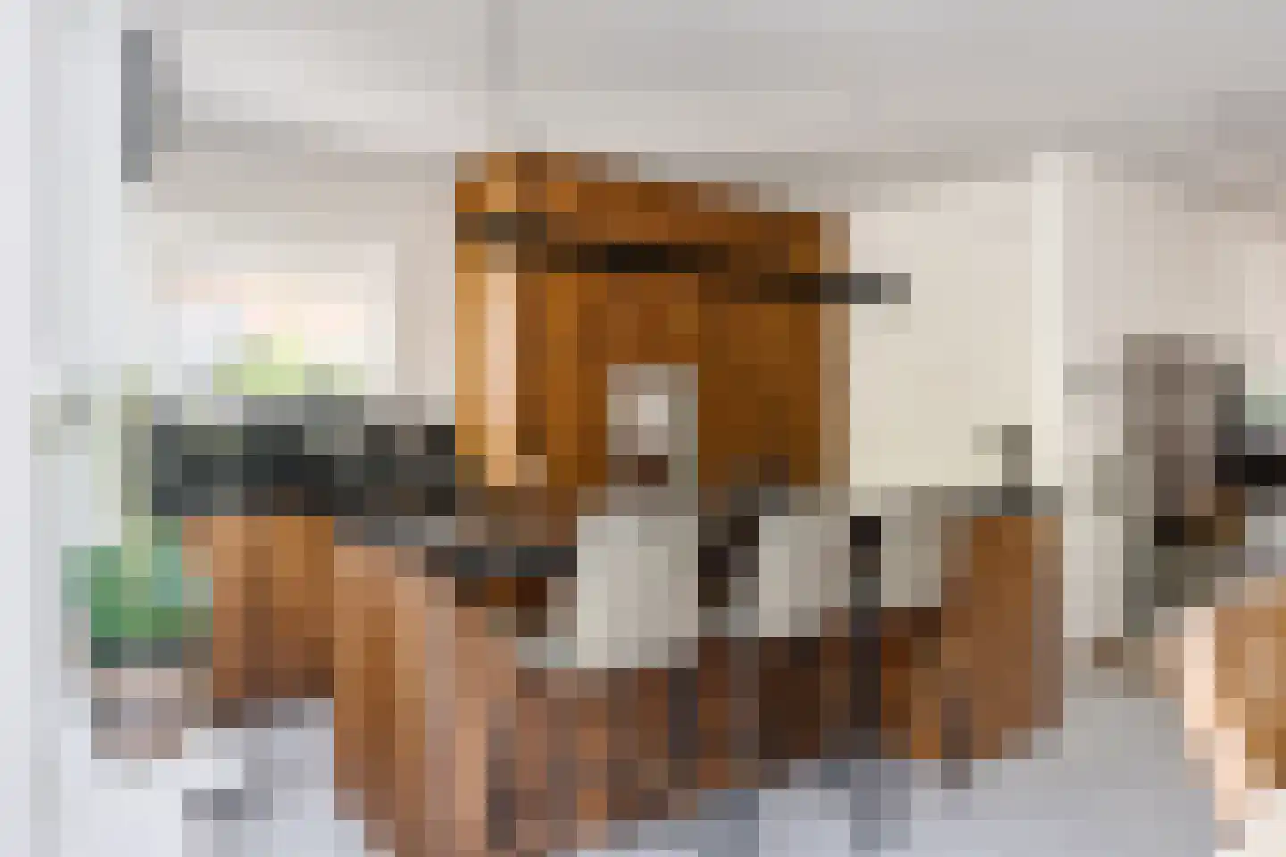 Dijkzichtlaan 3 Santpoort-Noord thumbnail 12