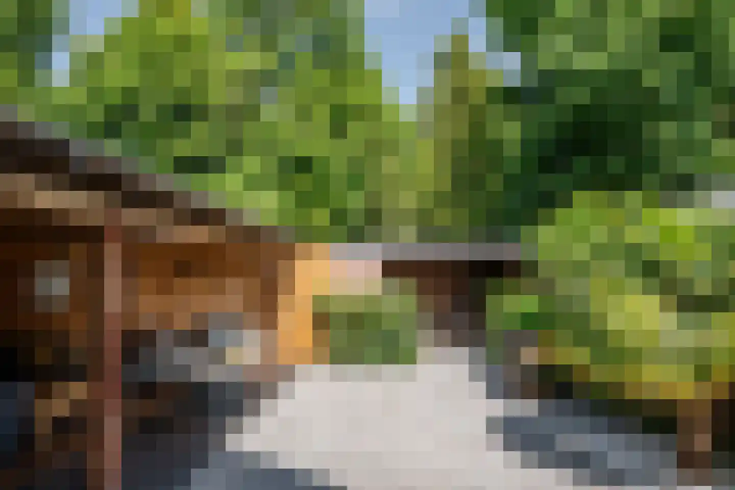 Dijkzichtlaan 3 Santpoort-Noord thumbnail 17
