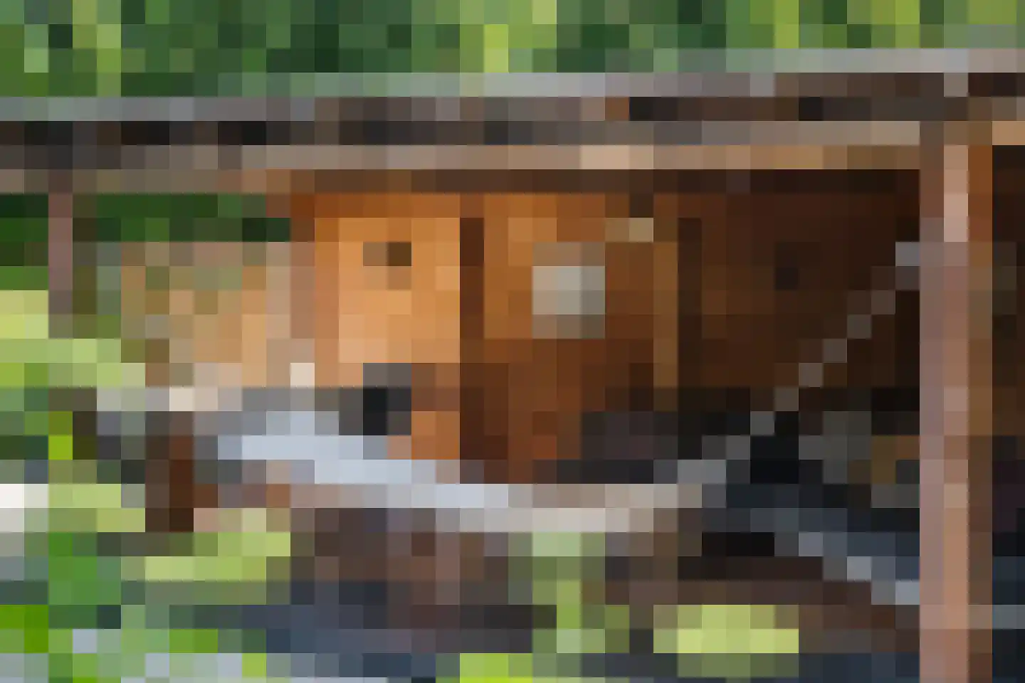 Dijkzichtlaan 3 Santpoort-Noord thumbnail 18