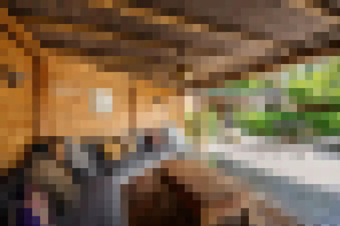 Dijkzichtlaan 3 Santpoort-Noord thumbnail 20