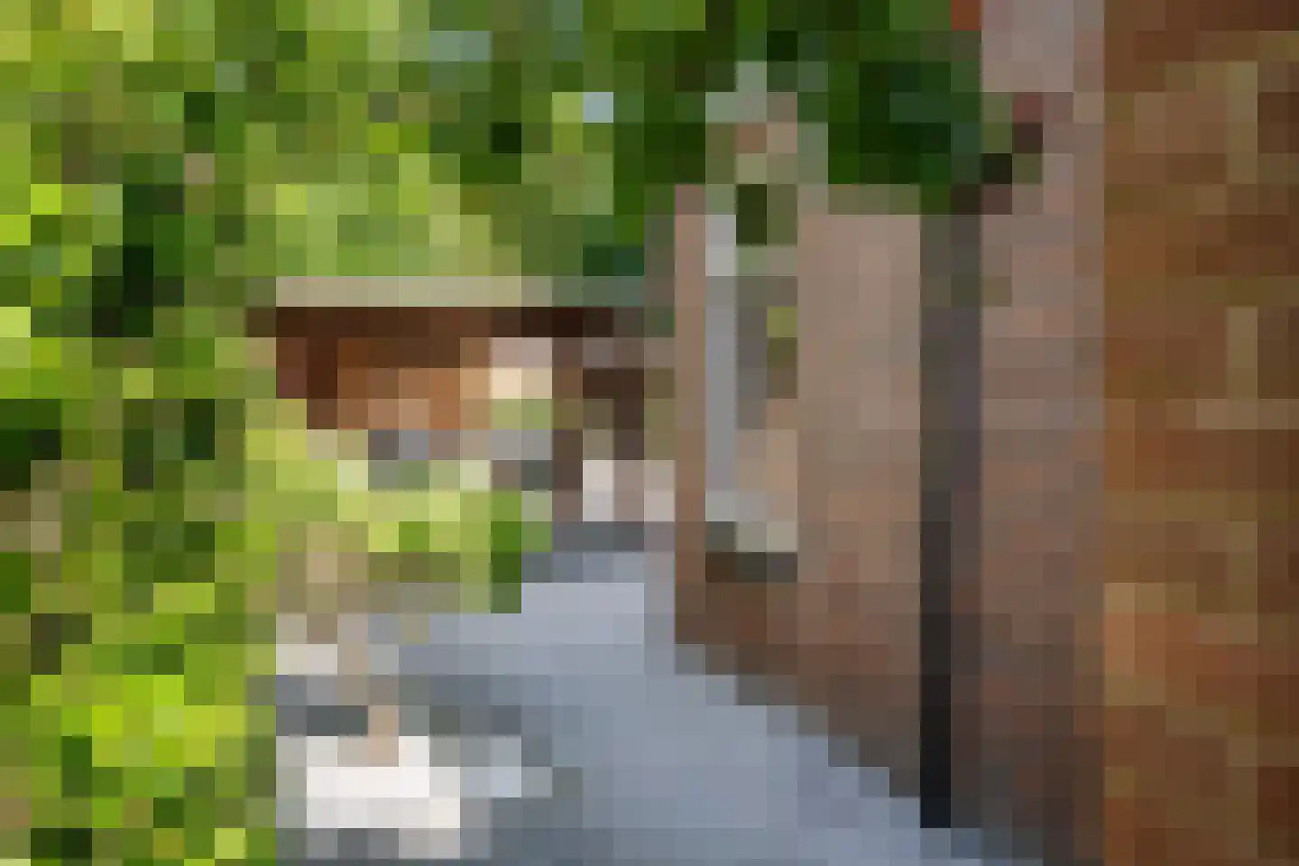 Dijkzichtlaan 3 Santpoort-Noord thumbnail 25