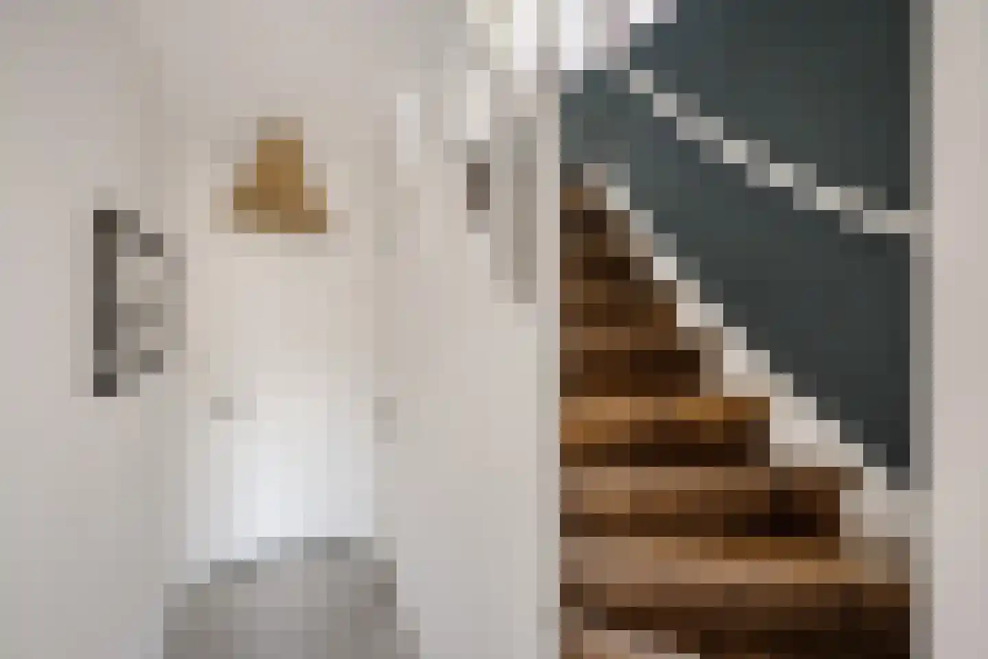 Dijkzichtlaan 3 Santpoort-Noord thumbnail 29