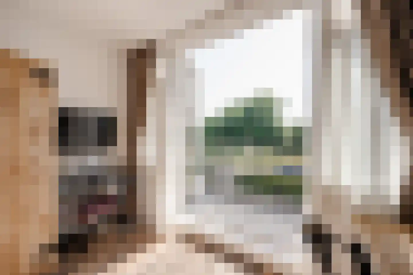 Dijkzichtlaan 3 Santpoort-Noord thumbnail 39