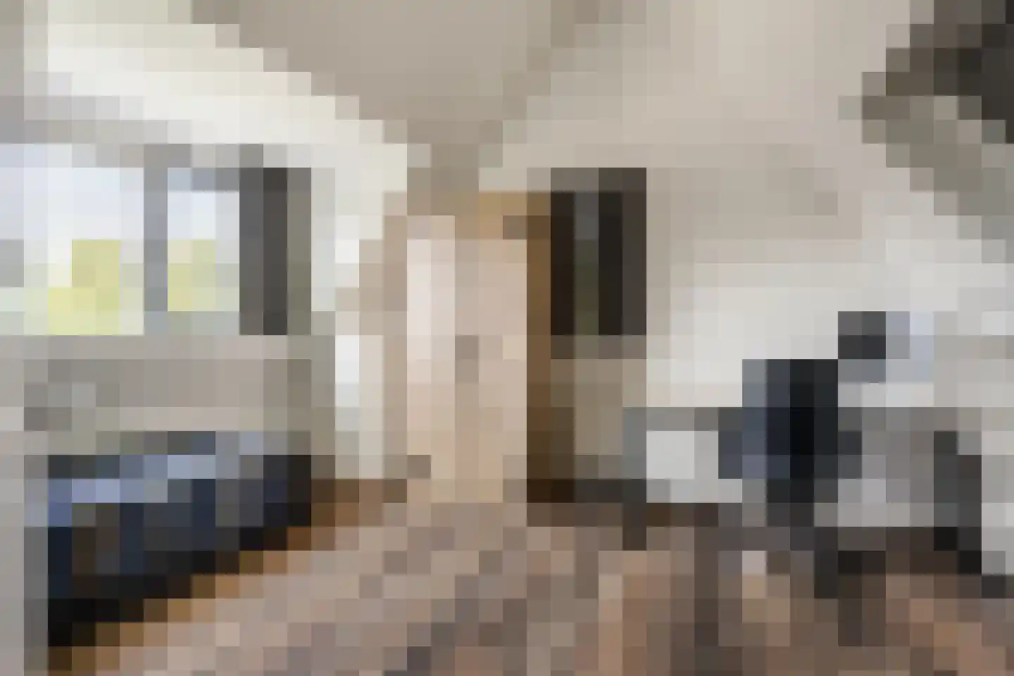Dijkzichtlaan 3 Santpoort-Noord thumbnail 45