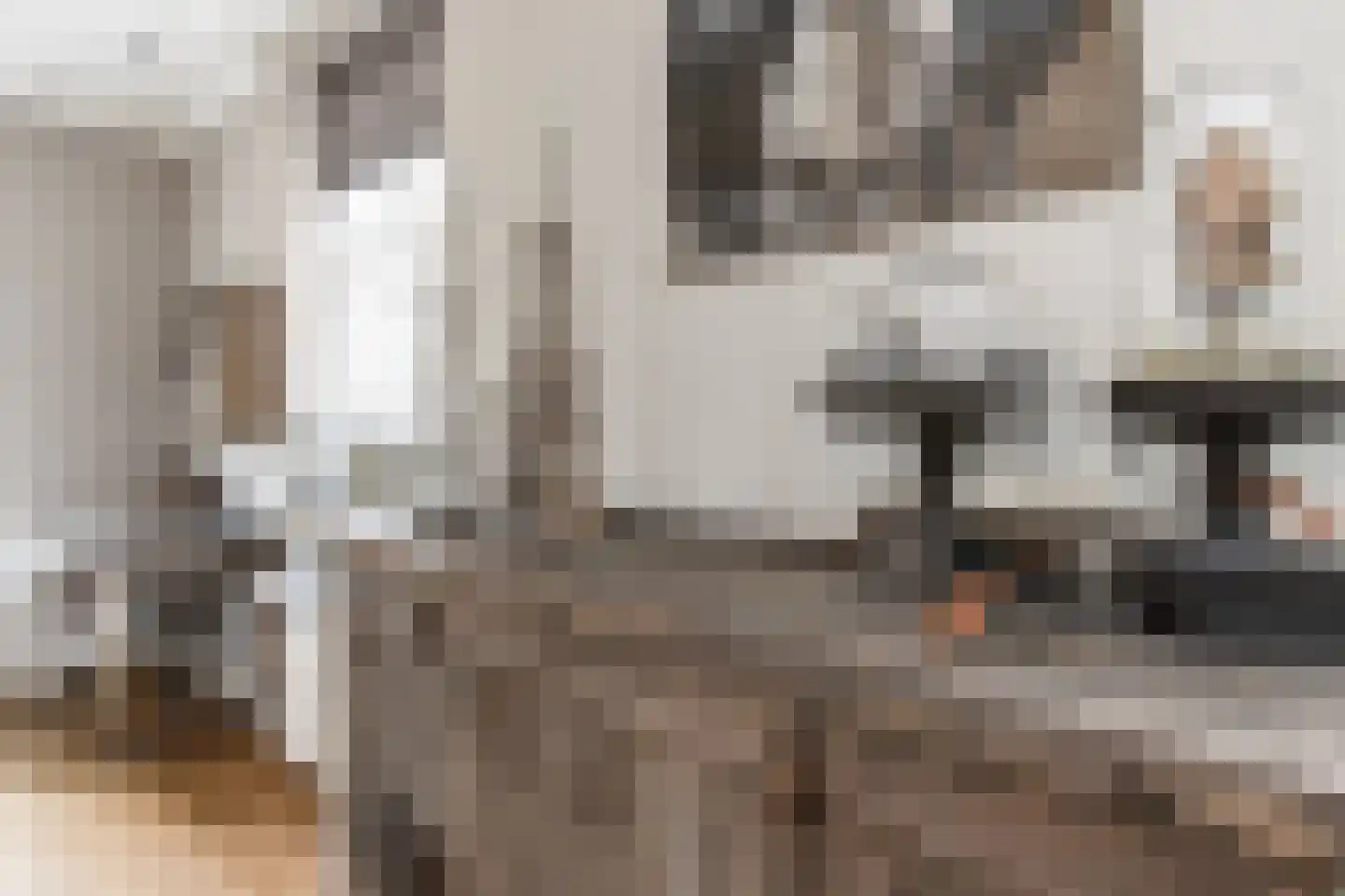 Dijkzichtstraat 4 Zuilichem thumbnail 13