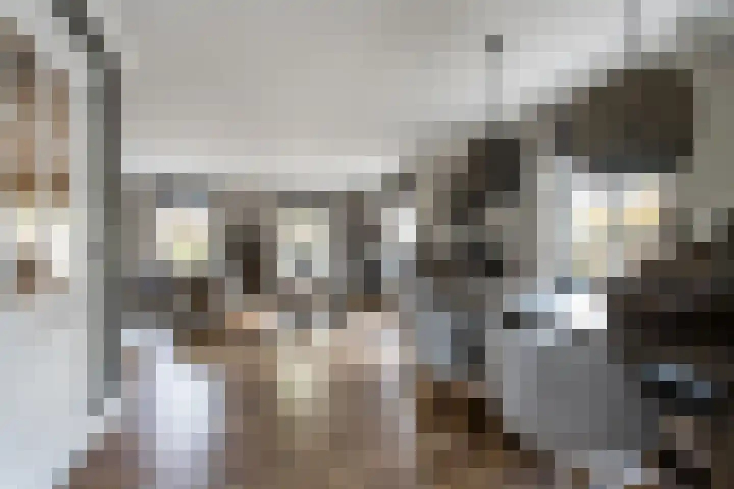 Dijkzichtstraat 4 Zuilichem thumbnail 15