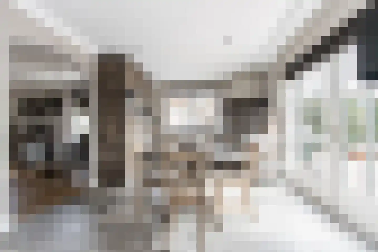 Dijkzichtstraat 4 Zuilichem thumbnail 16
