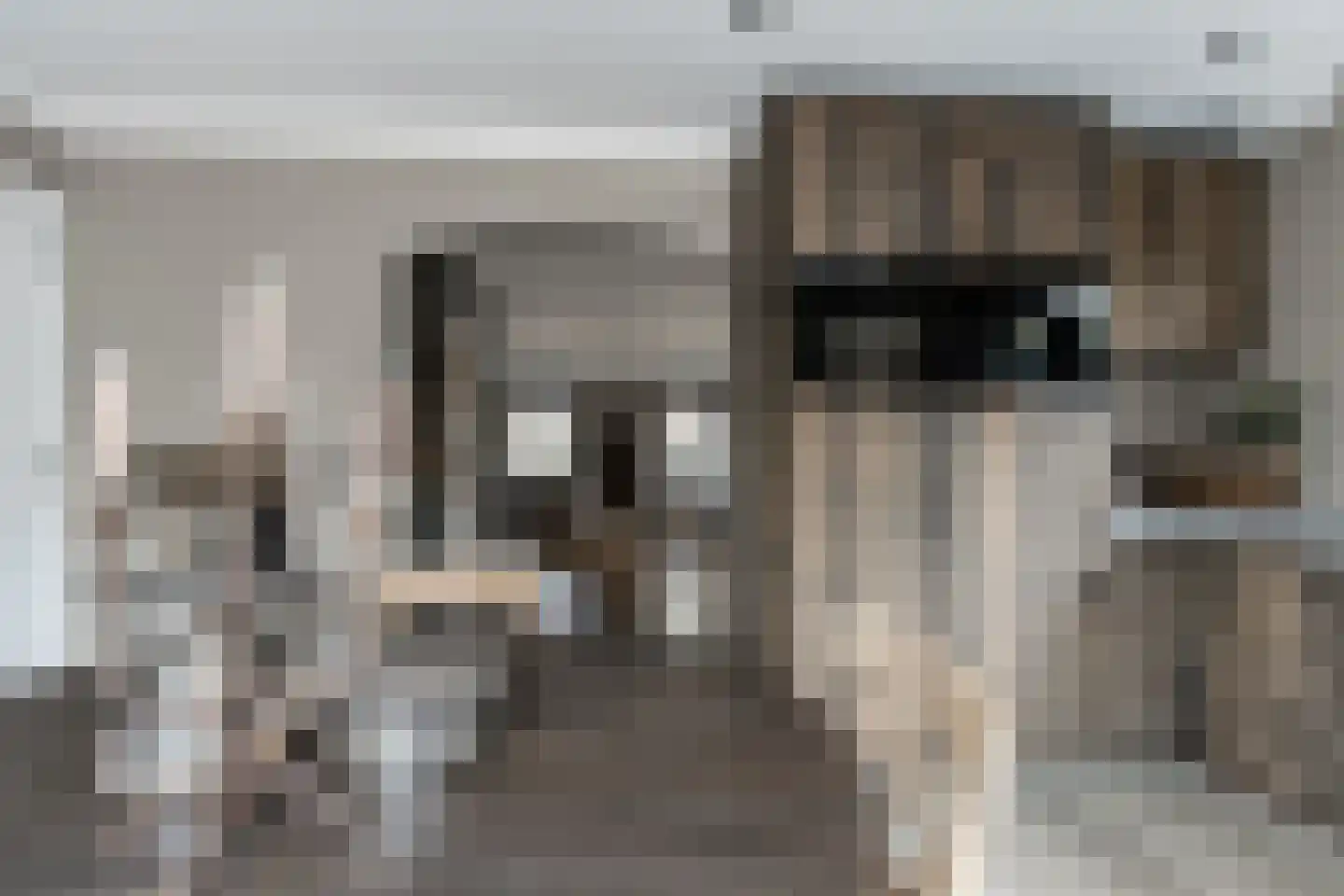 Dijkzichtstraat 4 Zuilichem thumbnail 21