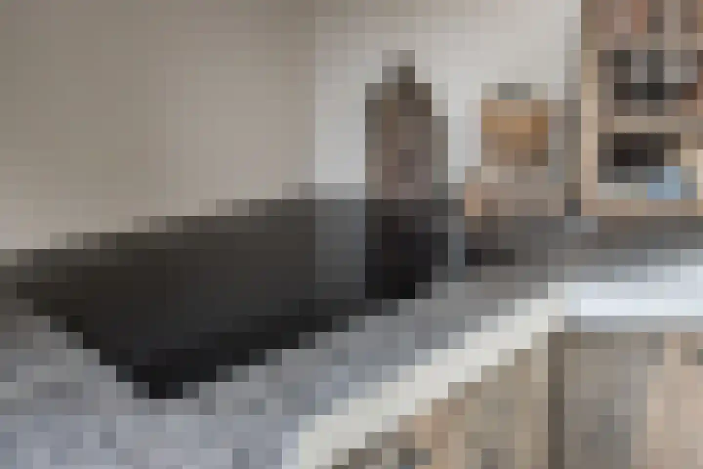 Dijkzichtstraat 4 Zuilichem thumbnail 24