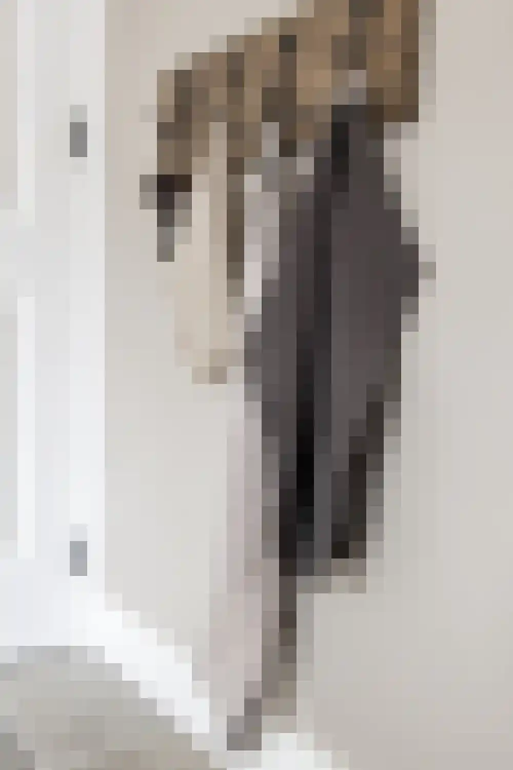 Dijkzichtstraat 4 Zuilichem thumbnail 26