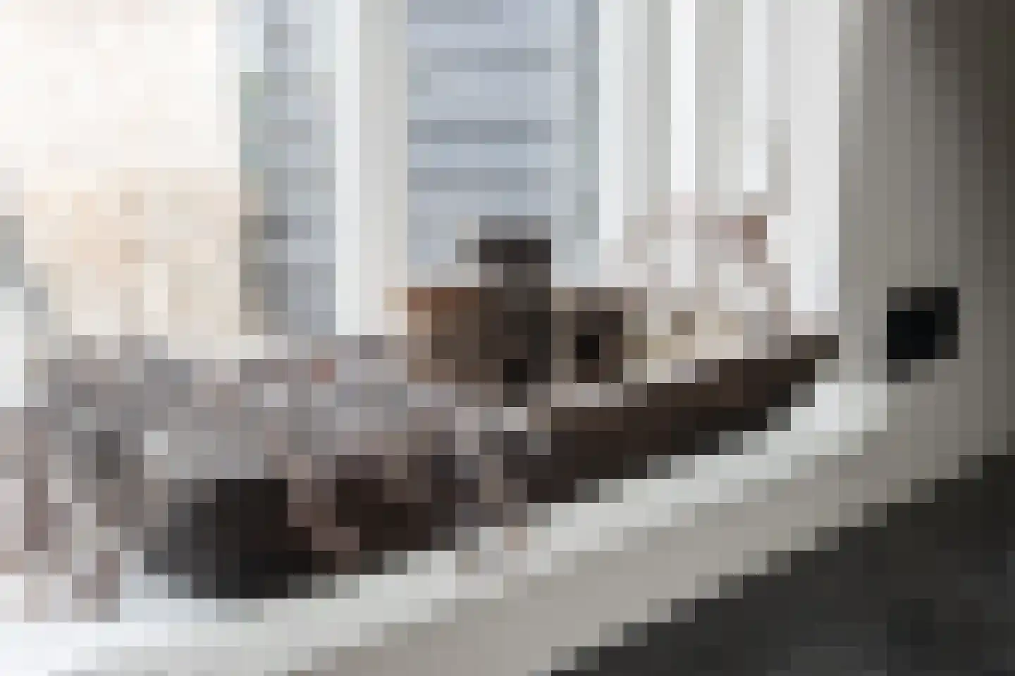 Dijkzichtstraat 4 Zuilichem thumbnail 27
