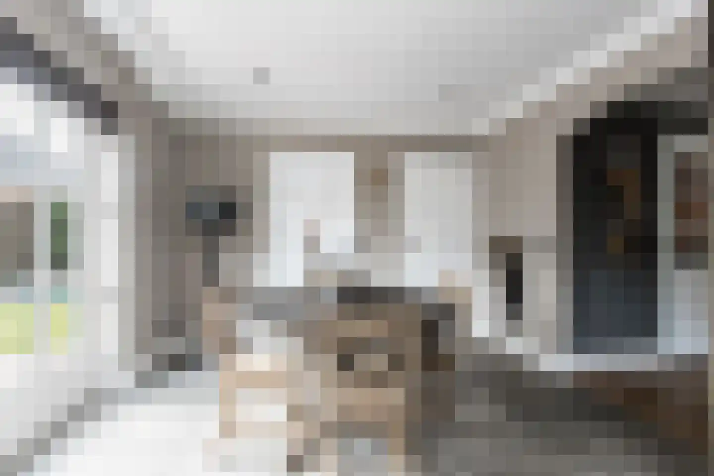 Dijkzichtstraat 4 Zuilichem thumbnail 29