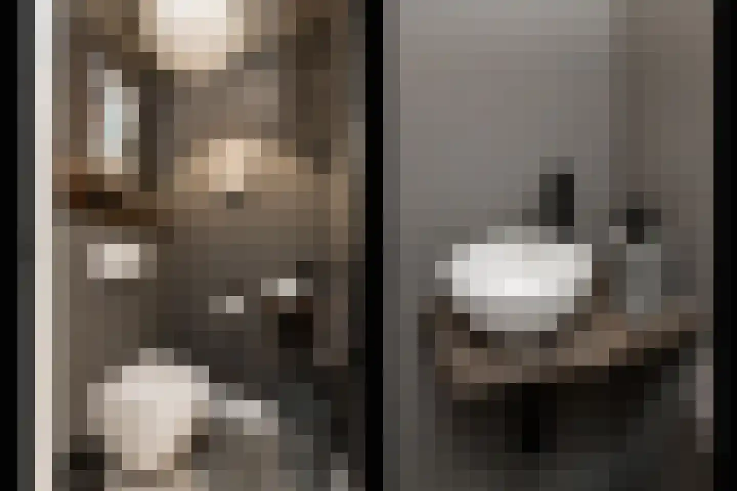 Dijkzichtstraat 4 Zuilichem thumbnail 33