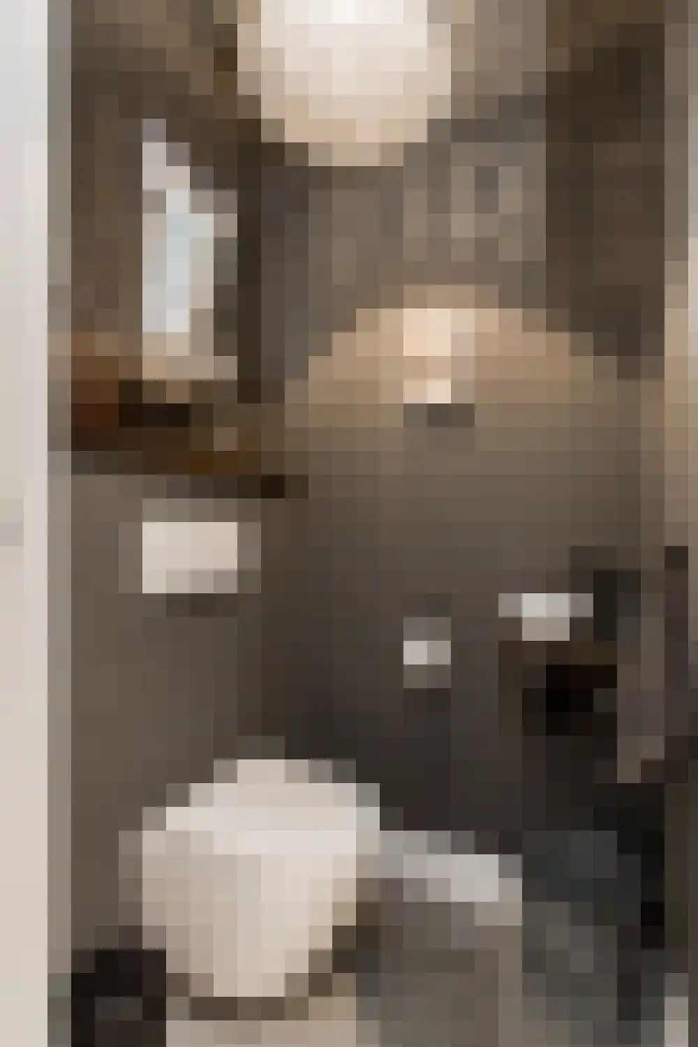 Dijkzichtstraat 4 Zuilichem thumbnail 34