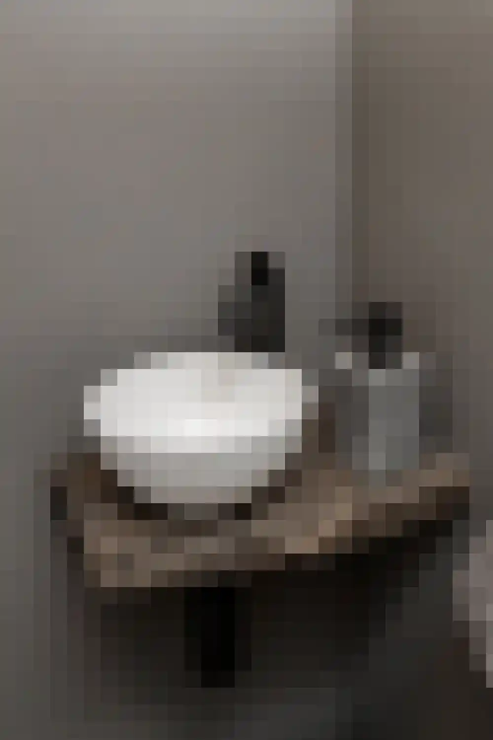 Dijkzichtstraat 4 Zuilichem thumbnail 35