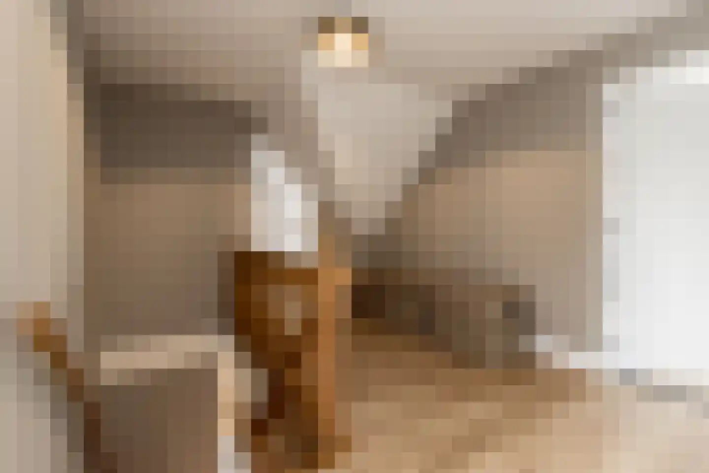 Dijkzichtstraat 4 Zuilichem thumbnail 38