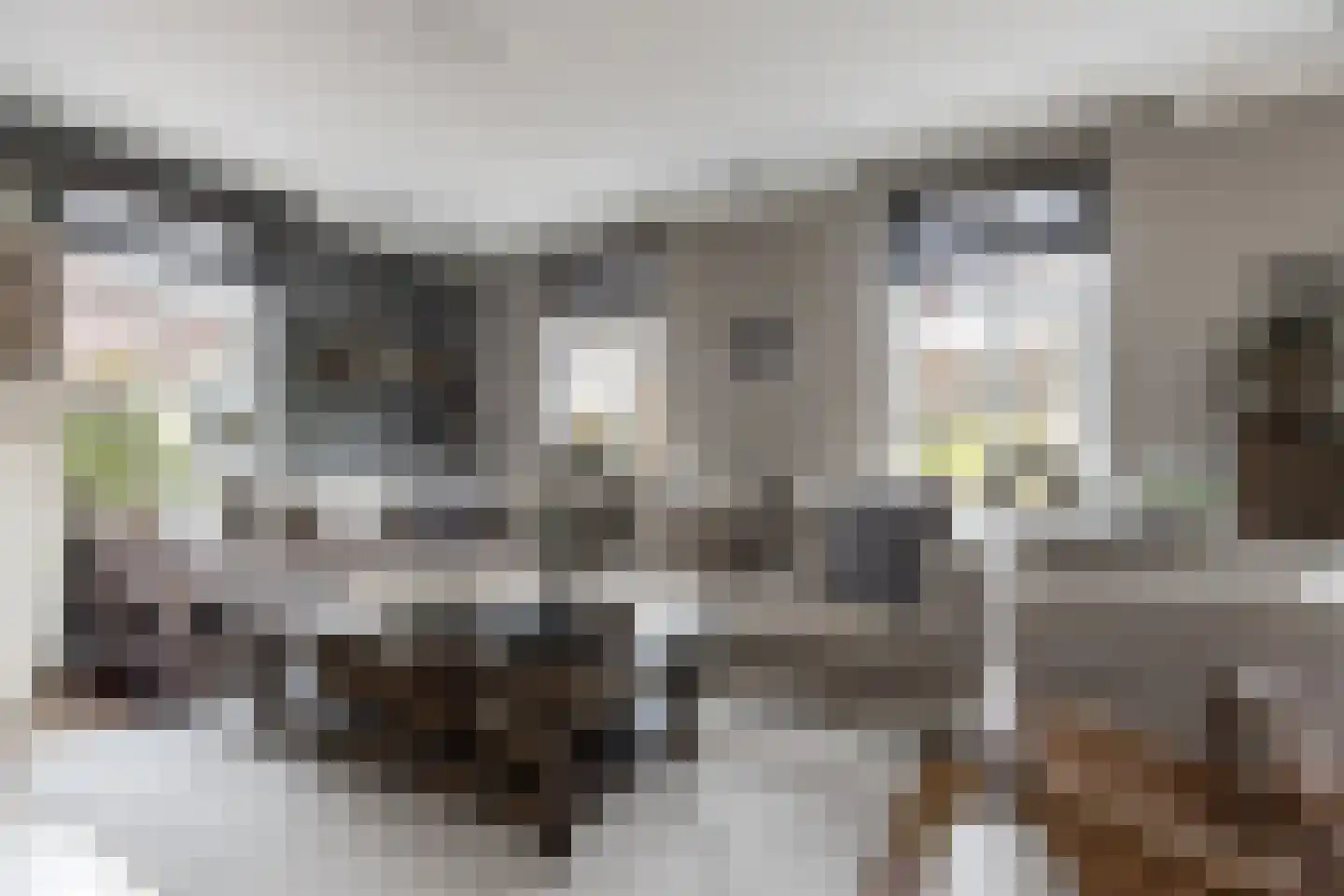Dijkzichtstraat 4 Zuilichem thumbnail 4
