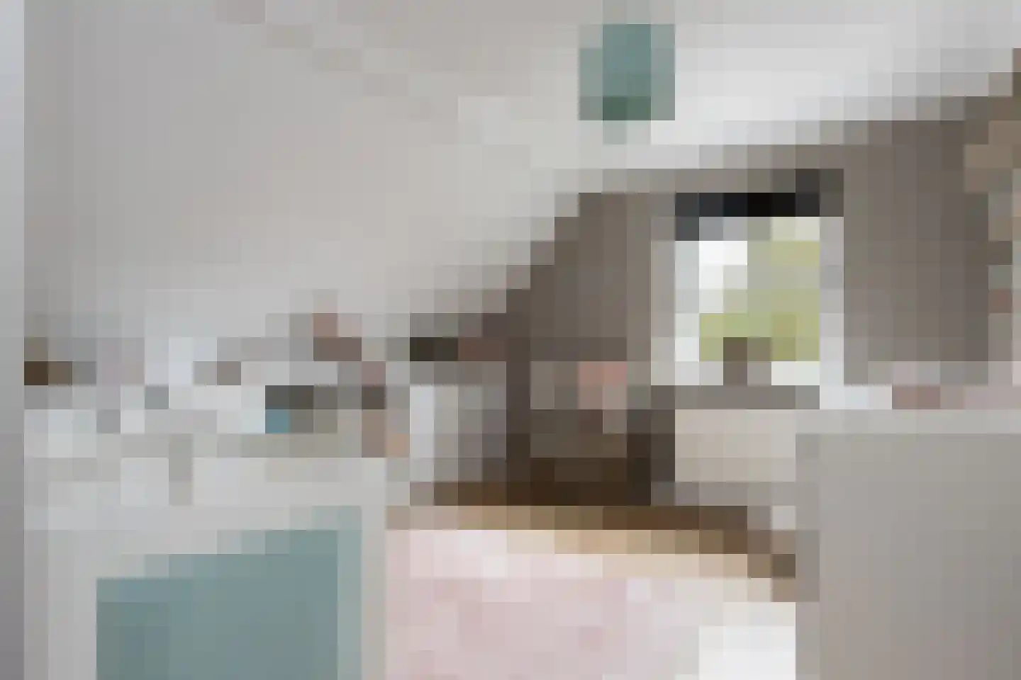 Dijkzichtstraat 4 Zuilichem thumbnail 45