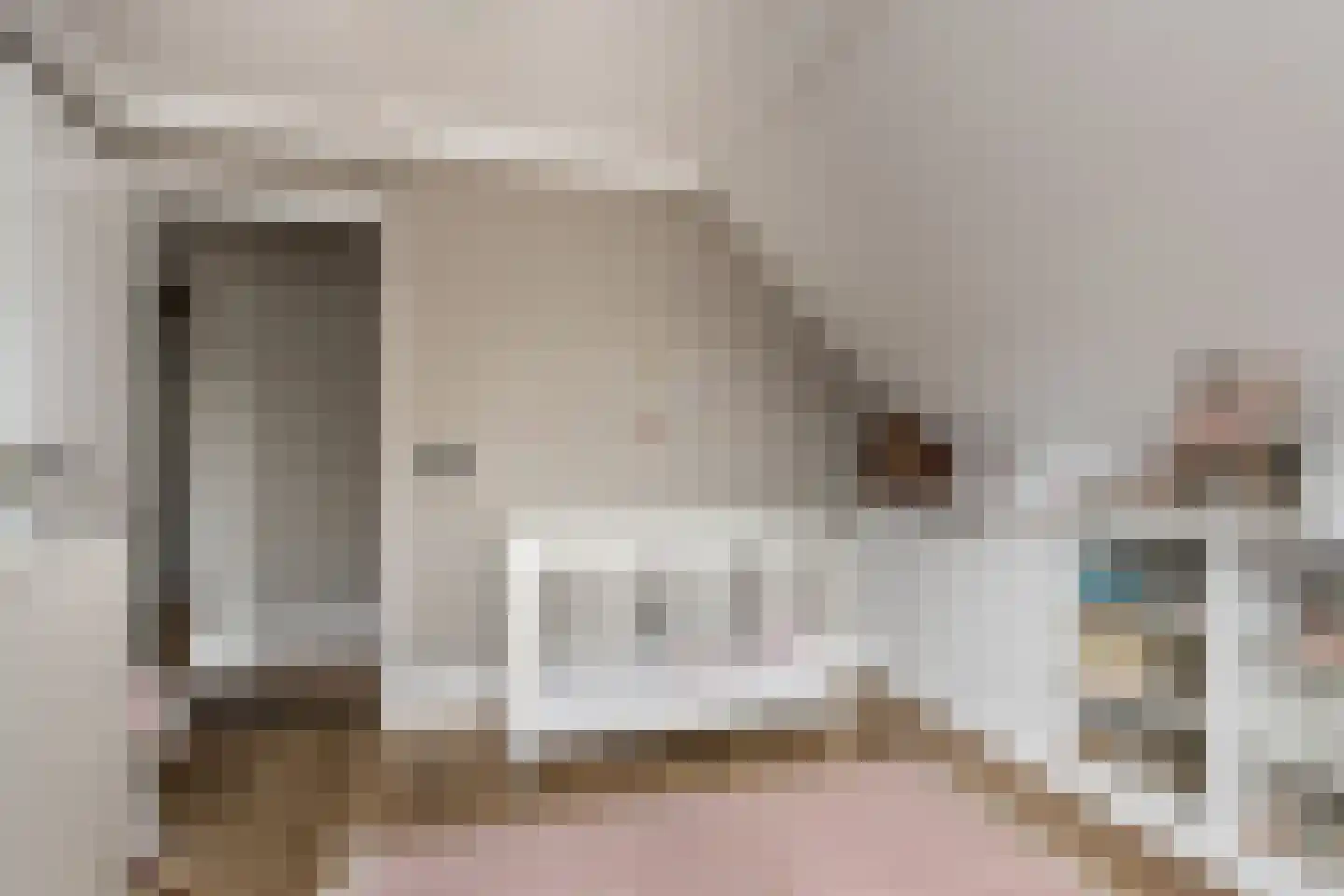 Dijkzichtstraat 4 Zuilichem thumbnail 46