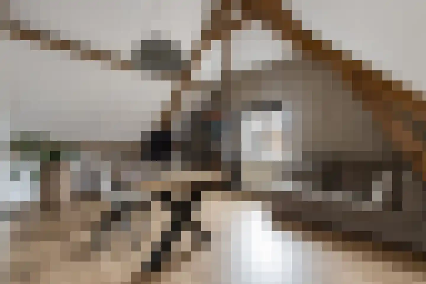 Dijkzichtstraat 4 Zuilichem thumbnail 49