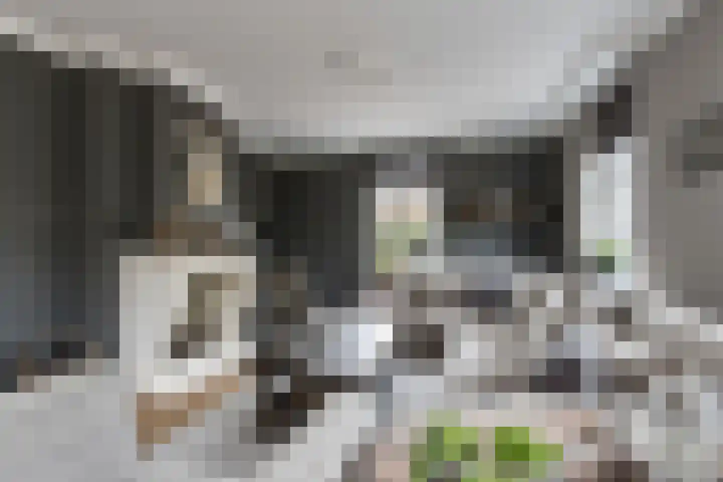 Dijkzichtstraat 4 Zuilichem thumbnail 5