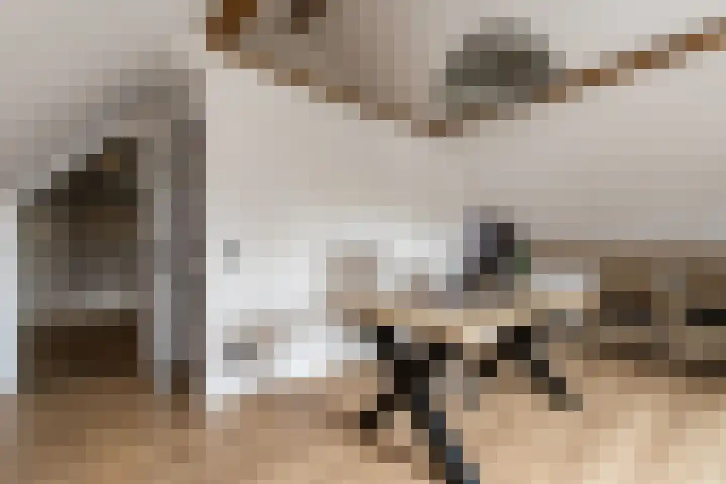 Dijkzichtstraat 4 Zuilichem thumbnail 51