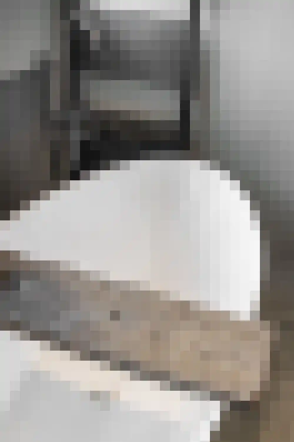 Dijkzichtstraat 4 Zuilichem thumbnail 57