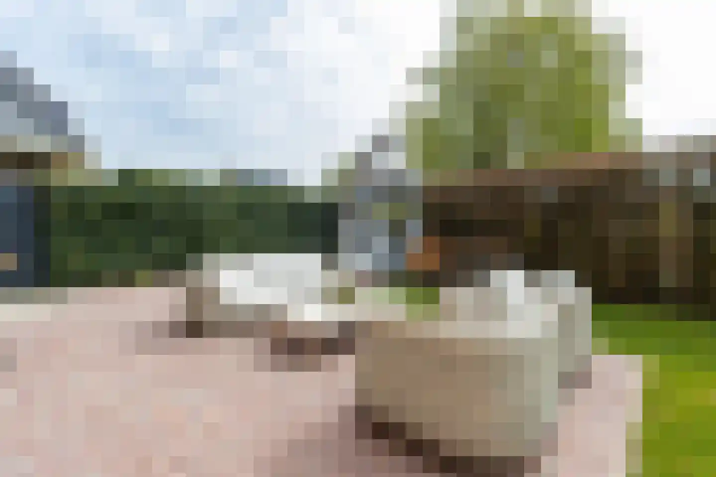 Dijkzichtstraat 4 Zuilichem thumbnail 61