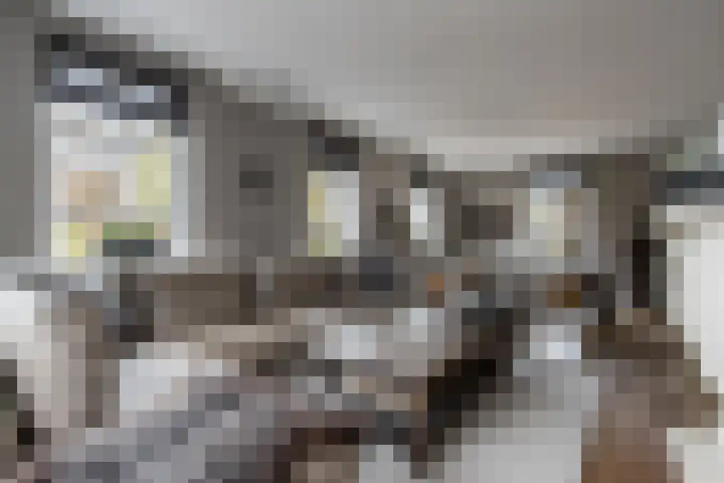 Dijkzichtstraat 4 Zuilichem thumbnail 7