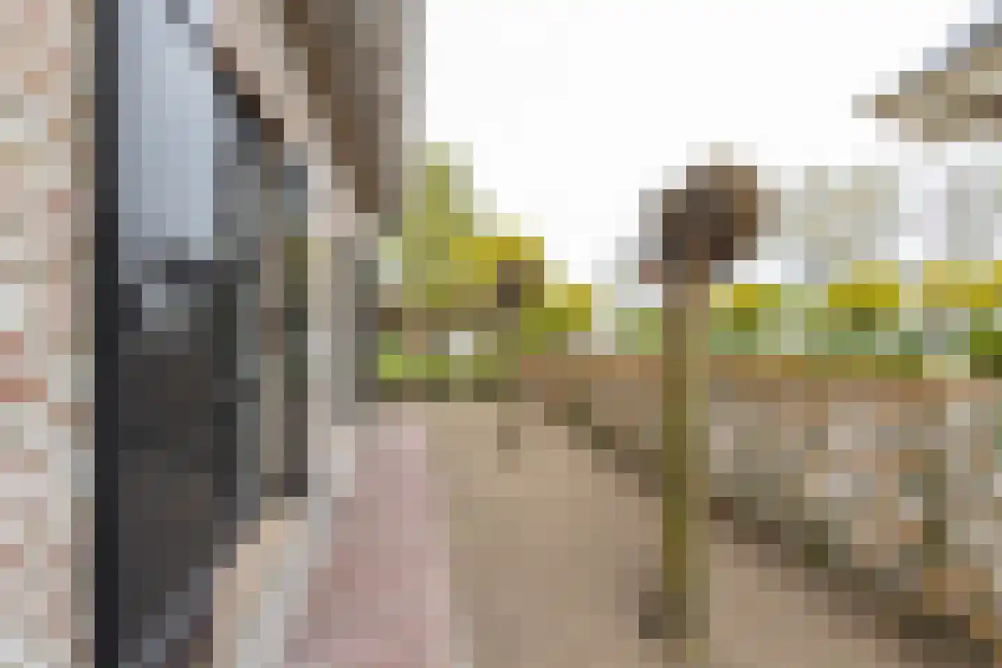 Dijkzichtstraat 4 Zuilichem thumbnail 73