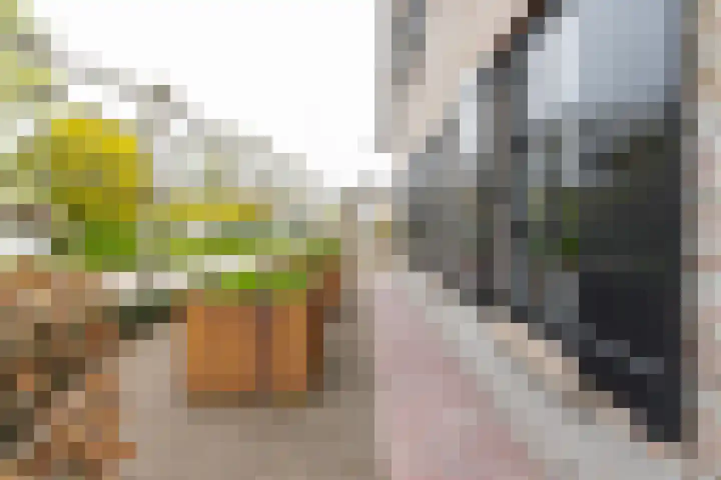 Dijkzichtstraat 4 Zuilichem thumbnail 74