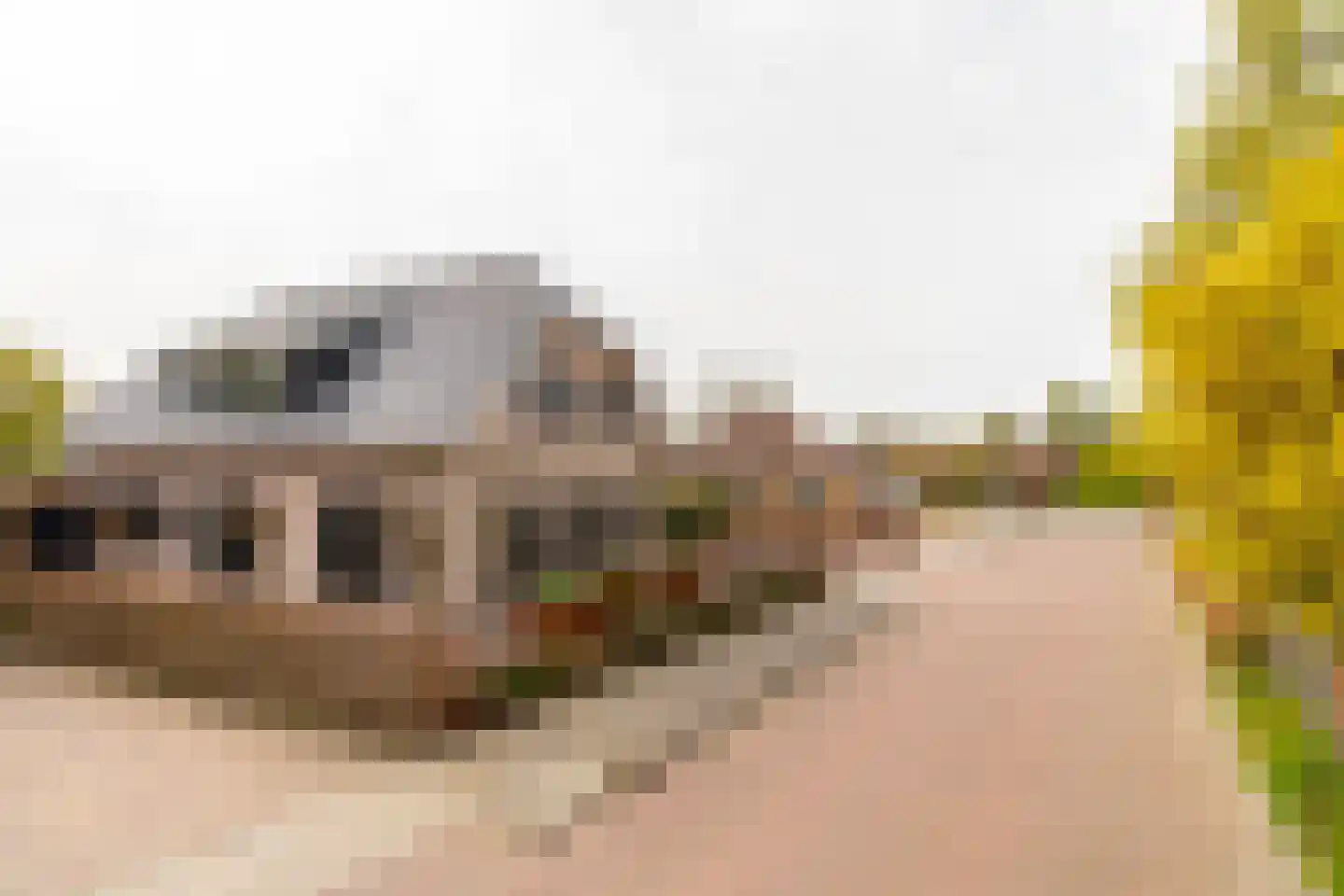 Dijkzichtstraat 4 Zuilichem thumbnail 77