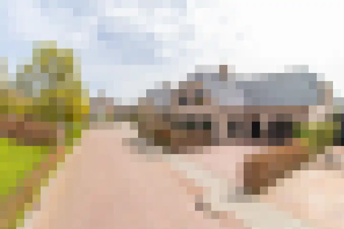 Dijkzichtstraat 4 Zuilichem thumbnail 79