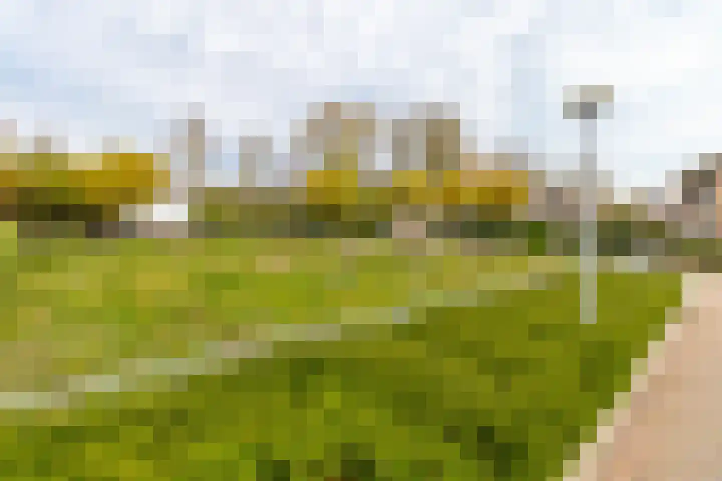 Dijkzichtstraat 4 Zuilichem thumbnail 80