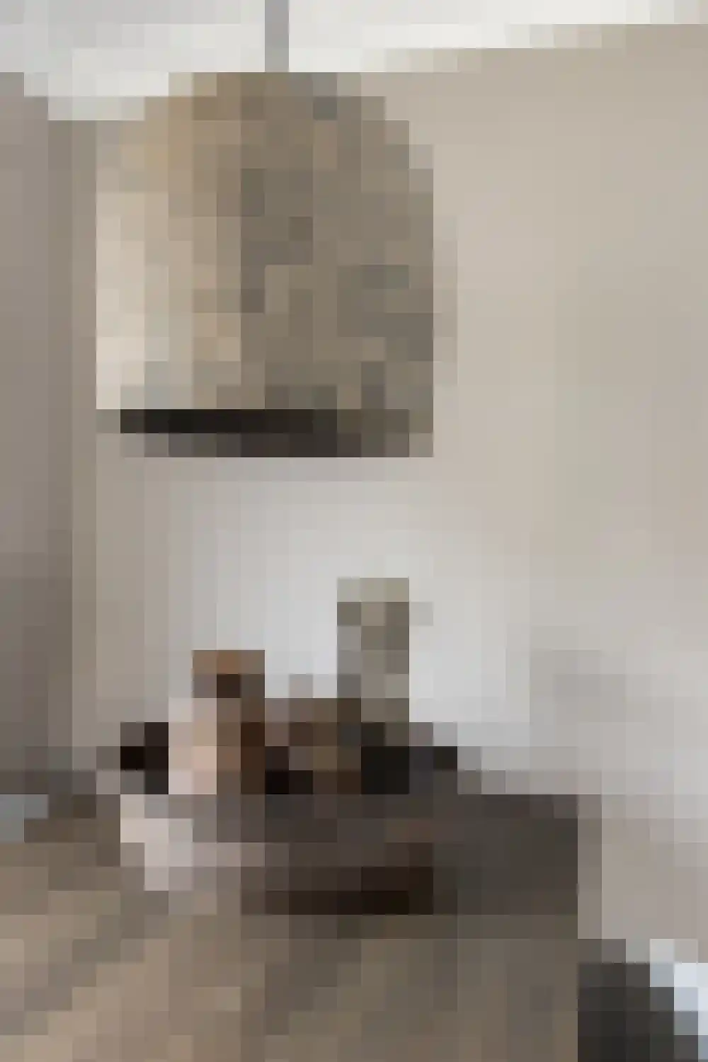Dijkzichtstraat 4 Zuilichem thumbnail 9