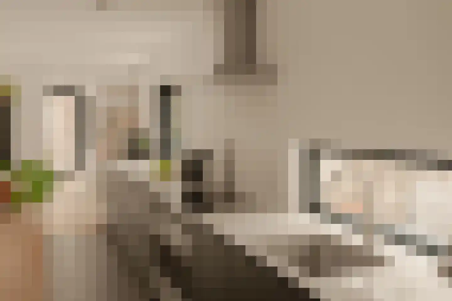 Dijlehof 12 Amsterdam thumbnail 11