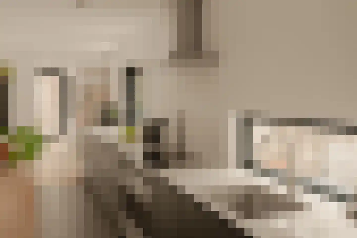 Dijlehof 12 Amsterdam thumbnail 11