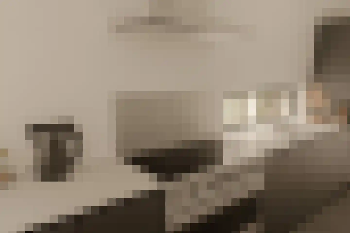 Dijlehof 12 Amsterdam thumbnail 13