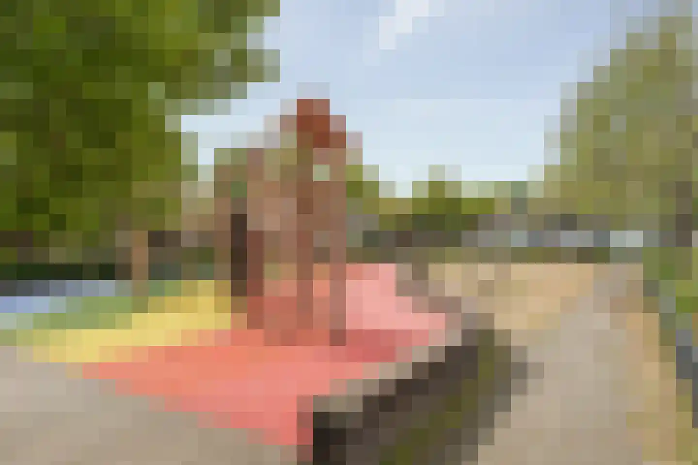 Dijlehof 12 Amsterdam thumbnail 39