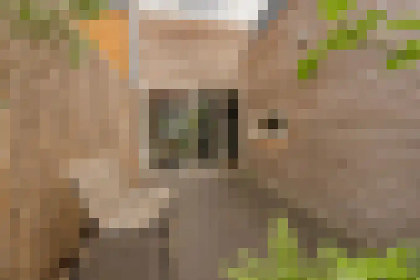Dijlehof 12 Amsterdam thumbnail 4