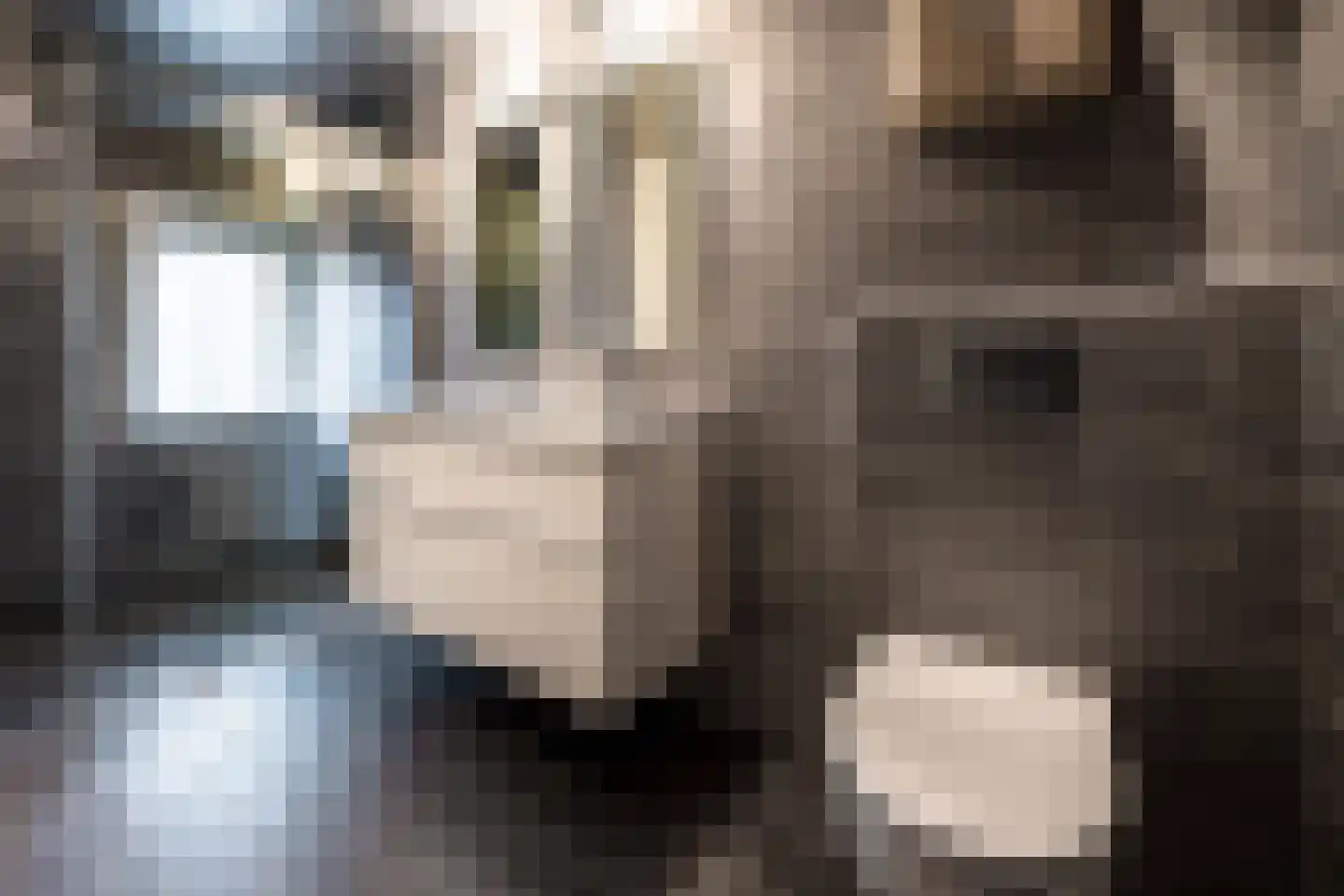 Dijnselweg 109 Zeist thumbnail 18