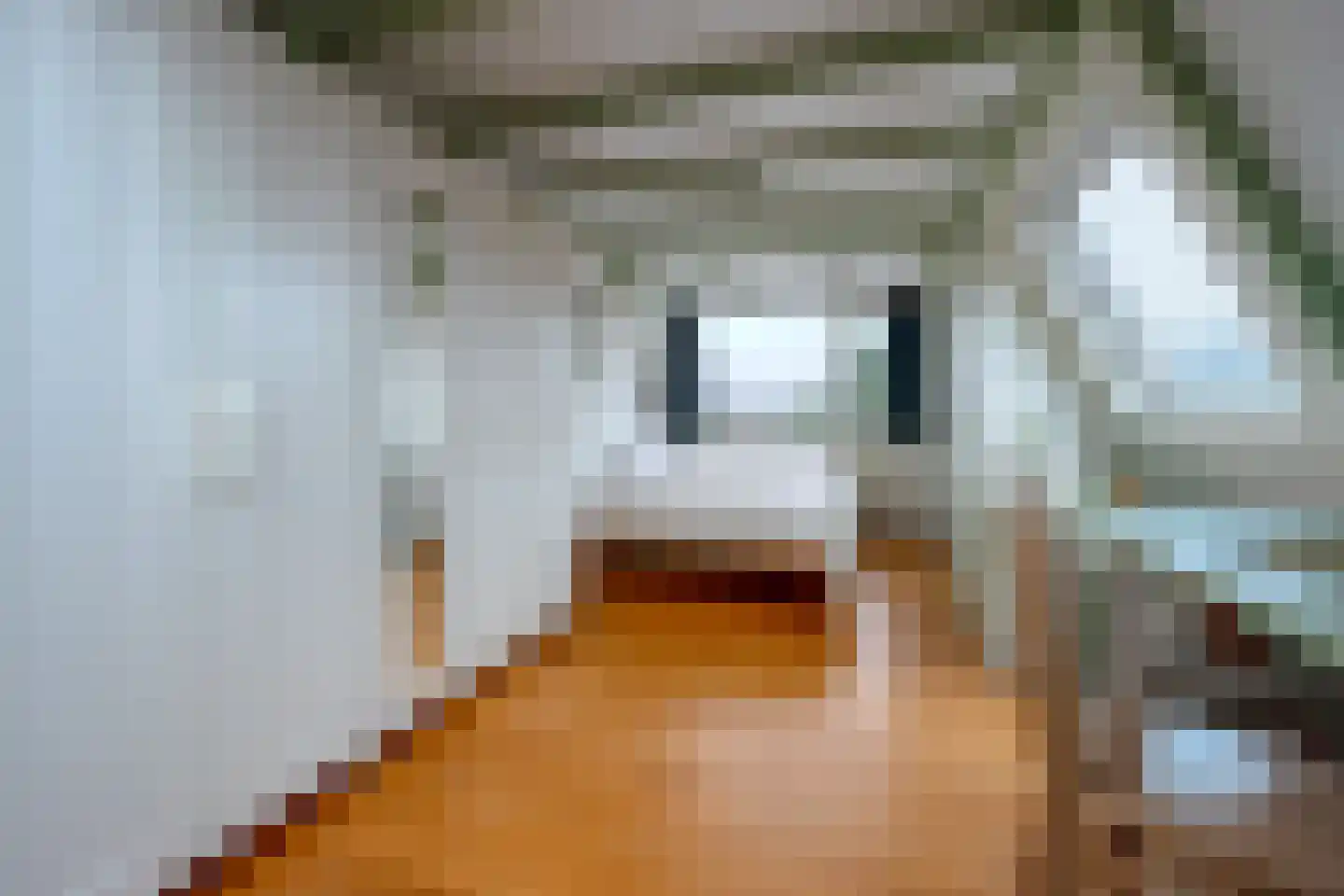 Dijnselweg 109 Zeist thumbnail 21