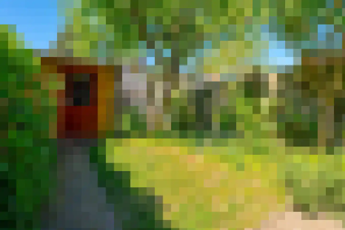 Dijnselweg 109 Zeist thumbnail 22