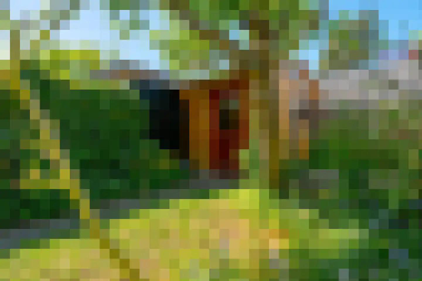 Dijnselweg 109 Zeist thumbnail 26
