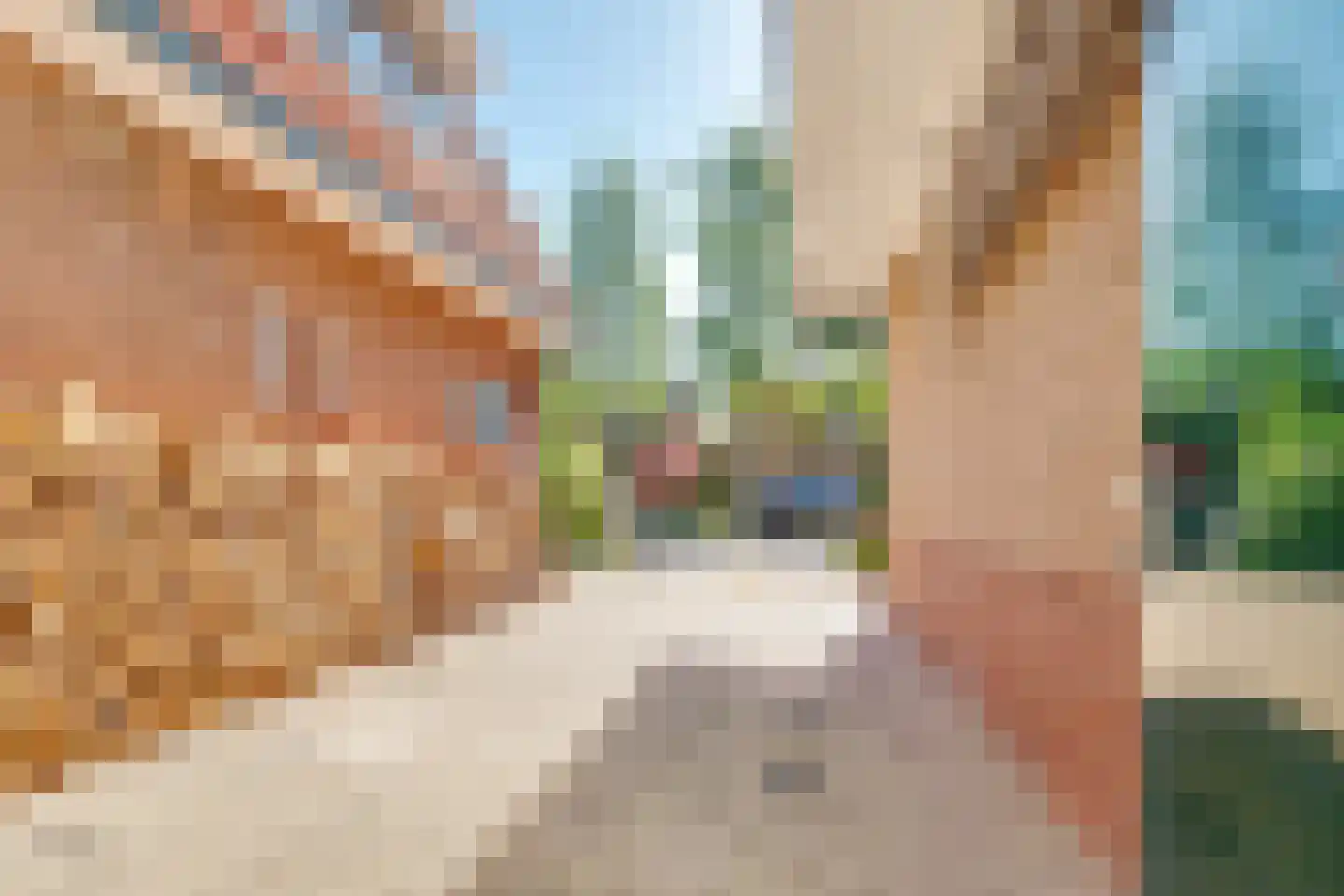 Dijnselweg 117 Zeist thumbnail 25